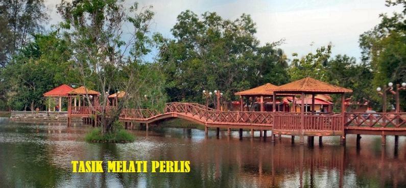 Syed Homestay Arau Exterior foto